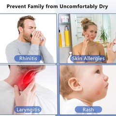 Double Spray 2.2L Ultrasonic Humidifier Cool Mist Diffuser Essential Oil