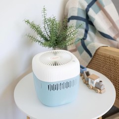 Evaporative Humidifier, Wick Filter, Dishwasher Safe Tank, UV Light, No White…