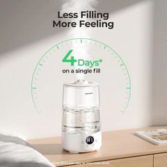 Easy-to-Clean 3.6L Cool Mist Humidifier – Relief from Dryness & Congestion