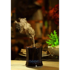 Ultrasonic Aroma Diffuser Humidifier with Ceramic Housing in Black