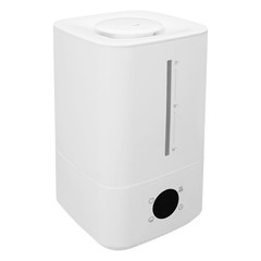 6L Hot & Cold Mist Humidifier Machine Tabletop Humidifier Touch Control 110-220V