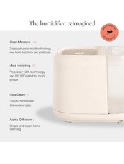 Canopy Large 5.5 L Humidifier / Diffuser