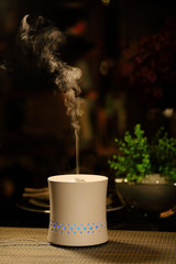 Ultrasonic Aroma Diffuser/Humidifier with White Ceramic Housing