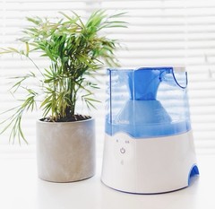 Crane USA Classic 0.5 Gal-Warm Mist Ultrasonic Tabletop Humidifier – White/Blue