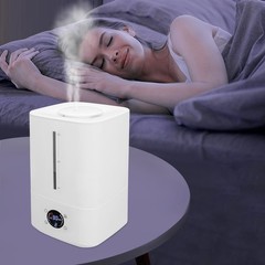6L Hot & Cold Mist Humidifier Machine Tabletop Humidifier Touch Control 110-220V