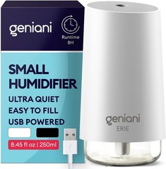 Compact 250mL Cool Mist Humidifier for Bedroom & Office – Night Light Included