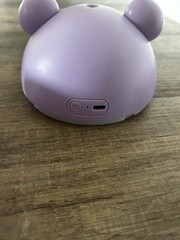 Care Bears Share Bear humidifier for bedroom 3