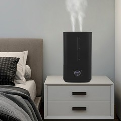 6L Hot and Cold Mist Humidifier 3 Levels Fog Volume Humidifier for Home 110-220V