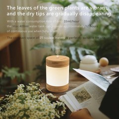 Bamboo Ultrasonic Mini Humidifier, 400ml Quiet Desktop Humidifier with Dual L…