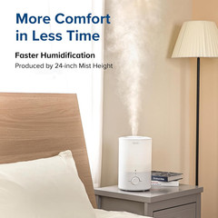 Whisper-Quiet 3L Humidifier & Essential Oil Diffuser for Allergy Relief
