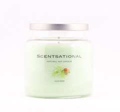 Scentsational Soaps & Candles Natural Soy Wax Candle Juniper Green