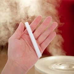 50 Pcs Humidifier for Car Small Wands Essential Oil Diffuser Stick
