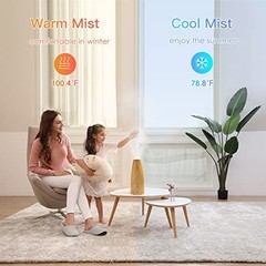 Elecameier Warm Cool Mist Humidifier 25dB Auto Shut