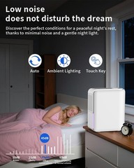 Portable 3 in 1 Air Purifier, Humidifier & Dehumidifier for Bedrooms & Basements