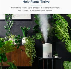 BPA-Free Humidifier & Cool Mist Diffuser with Night Light – 30 Hours Runtime