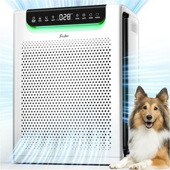 Air Purifiers for Home Large Room 2600 Ft², HEPA Air Purifier Air Cleaner HAP607