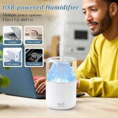 Portable Mist Humidifier with Colorful Light Auto-Off USB Desktop Personal Humid