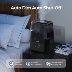 4L Cool Mist Humidifier with Timer & Auto Shut-Off – Perfect for Family Safety
