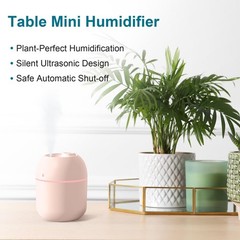 Mini USB Humidifier Portable Cool Mist 220ml Desk Bedroom Travel AirMoistMini™