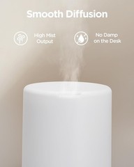 300ML Essential Oil Diffuser, Premium 5-in-1 Ultrasonic Aromatherapy Di