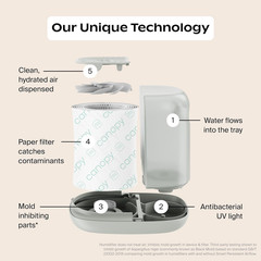 Bedside Humidifier 2.0, Moonstruck, 36 HR Run Time, 2.5L Capacity – Reading Ligh