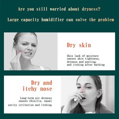 2L Dual Spray USB Humidifier Silent 5V Mist Diffuser Home Office Water Diffuser