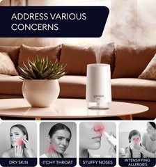 GENIANI KW-JSQ10 Portable Cool Mist Humidifier 250ML Auto Shut Off