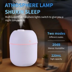Portable Mini Humidifier Small Cool Mist Humidifier Personal Desktop USB Powe…