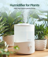 Humidifiers for Bedroom Large Room, 2.5L Cool Mist Humidifier with Essential …