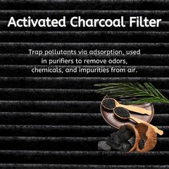 Nispira 5230W1A003C Charcoal Filter Replacement For GE Kenmore LG Microwave 2 Pk