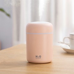 USB Car Air Purifier Diffuser Aroma Oil Humidifier Mist Led Night Light Home