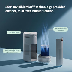BLUEAIR 2-In-1 Purify + Humidify: Air Purifier and Humidifier with Hepasilent™ a