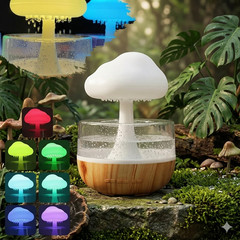 Rain Cloud Humidifier & Mushroom Night Light