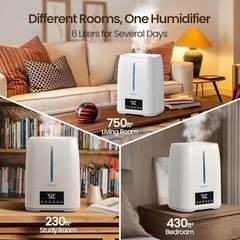 6L Ultrasonic Humidifier Cool Warm Mist Smart Auto Sleep Timer Quiet Aroma New