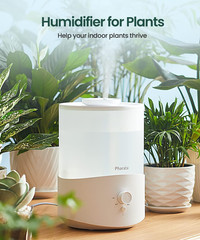 Pharata Humidifiers for Bedroom Large Room, 2.5L Cool Mist Humidifier with Essen