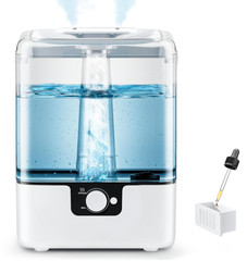 Humidificador Ultrasónico 6L Silencioso con Difusor y Luz Nocturna