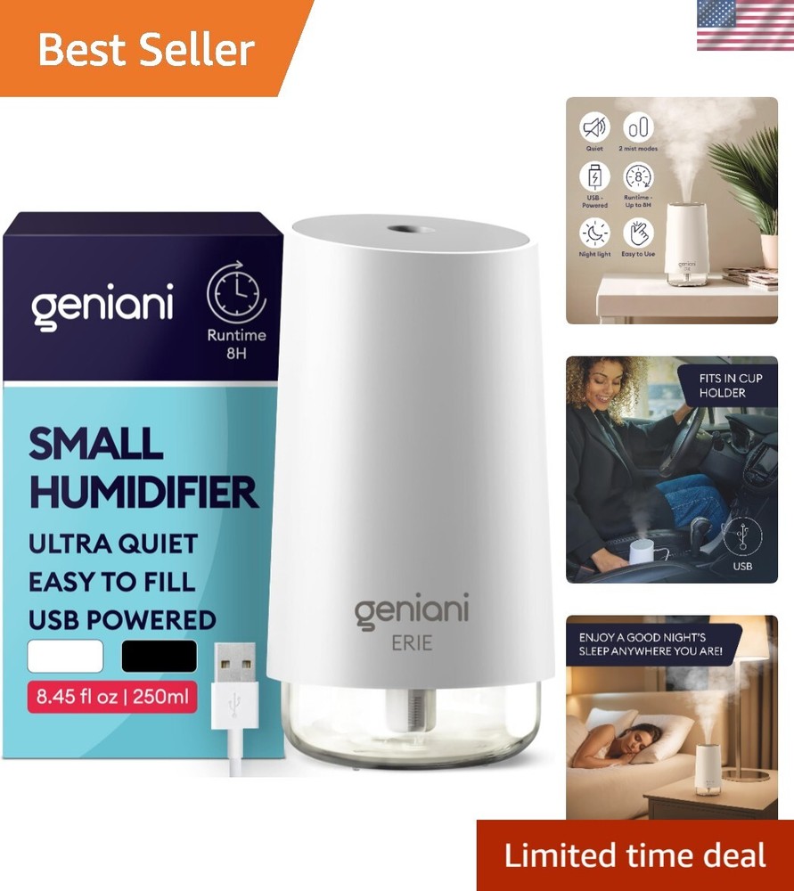 Portable Ultrasonic Cool Mist Humidifier for Small Rooms – 250ML & Auto Shut Off