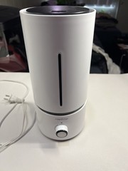 Raydrop Cool Mist Ultrasonic Humidifier for Home Babies 1.7L White Small