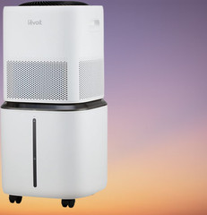 Levoit Evaporative Humidifiers for Home Whole House, 23L Superior 6000S, White