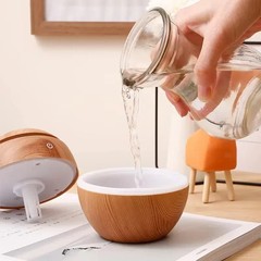 Mini Portable Air Humidifier USB power supply Essential Oil Diffuser Bottle Free