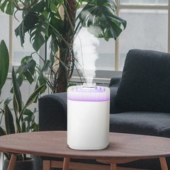 1-3L Large Capacity Cool Mist Humidifier With Three Nozzles High Mist Output