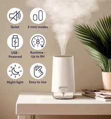 Portable USB Cool Mist Humidifier with Auto Shut Off, 250ml for Baby & Bedroom