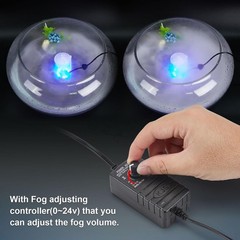 Elegant 350ml/H Mist Fogger with Adjustable Controller for Stunning Displays